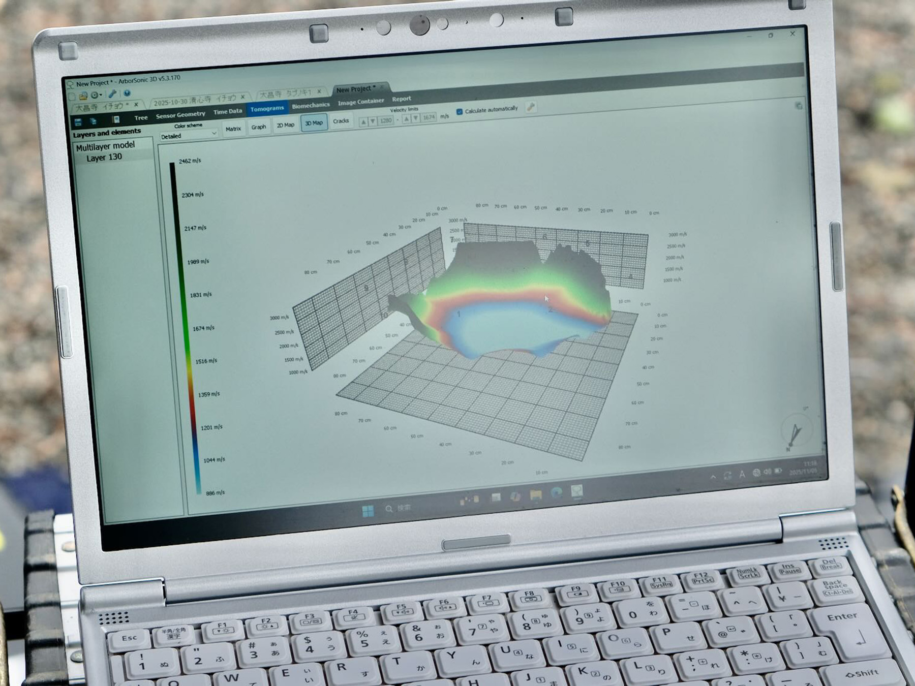 樹木医が行う診断の基本的な考え方と流れ