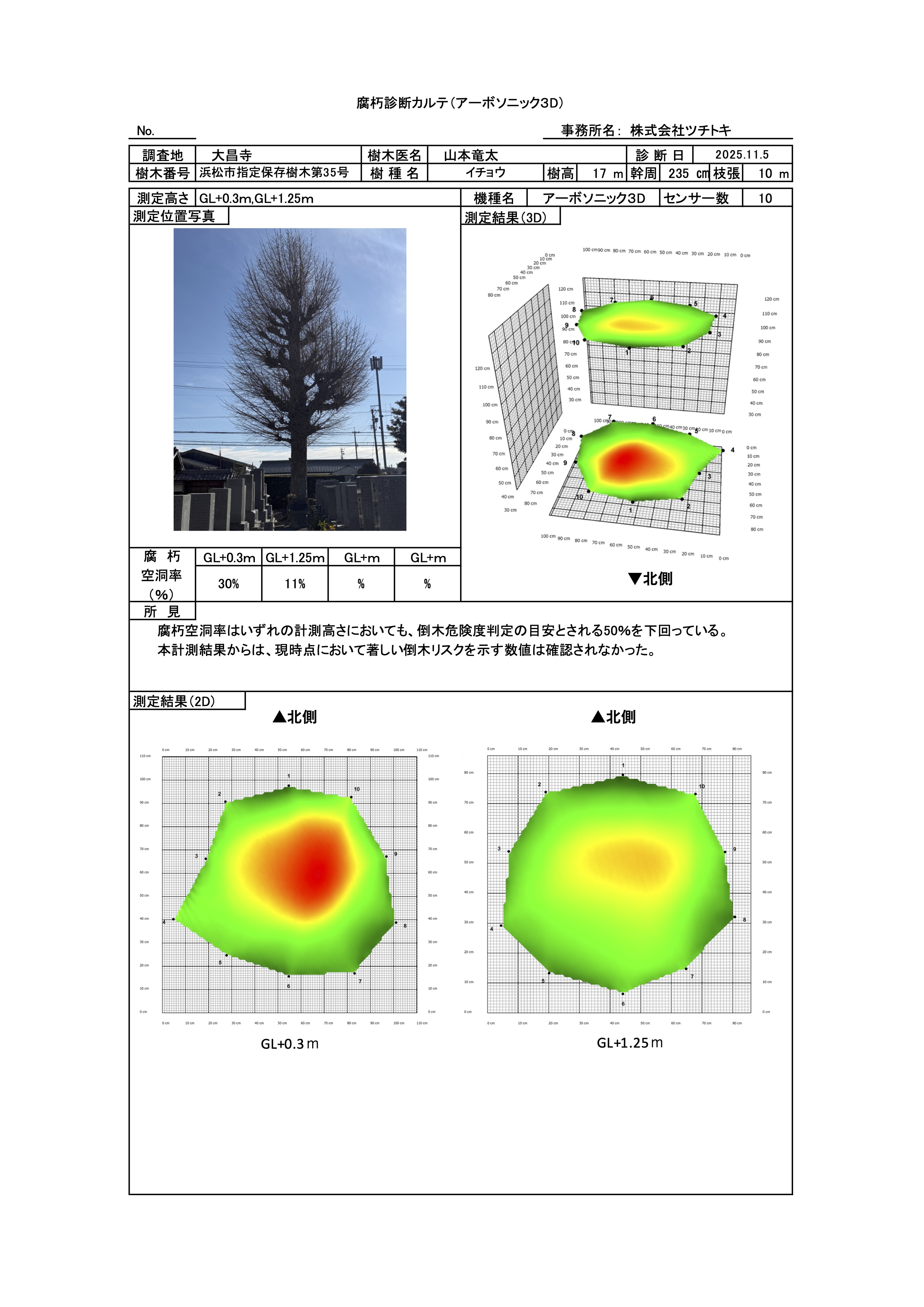 arbosonic-3d-diagnosis-report-sample-e1766212386107