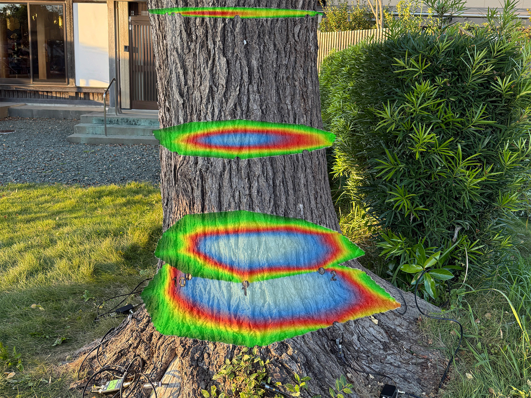 arbosonic3d_heatmap_overlay